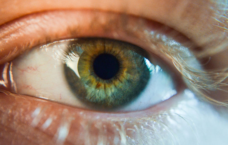 Foto: Josh Cowper / Flickr, bajo licencia Creative Commons